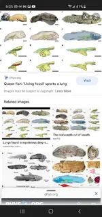 Screenshot_20220311-180509_Chrome.webp