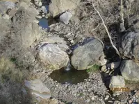 watter.webp