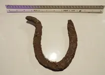 DSCF1728.webp