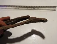 DSCF1729.webp