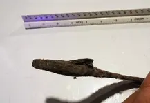 DSCF1731.webp