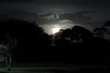 DSCN4073.webp