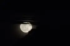 DSCN4080.webp