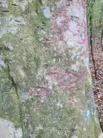 14735570-DB3A-4581-B633-215CEBA9D2FA.webp