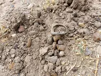 IMG_COM_20220419_1546_12_2041.webp