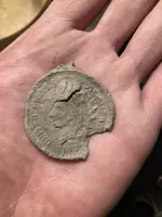 1877 indian head rosette.webp
