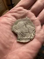 buffalo reverse to 1877 indian.webp