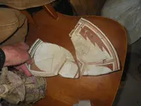 IMGP9378.webp