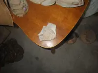 IMGP9379.webp