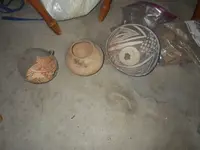 IMGP9380.webp