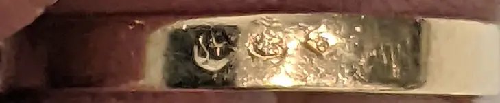 PXL_20220421_004603444.MP~2.webp