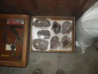 IMGP9399.webp