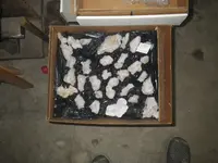 IMGP9396.webp