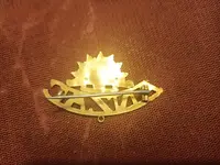 IMG20220423062319.webp