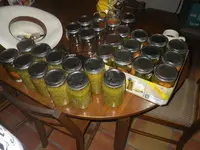 IMGP5030 (1).webp