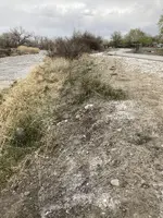 berm.webp