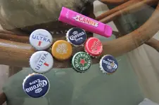DSCN4124.webp