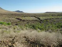 IMGP1941.webp
