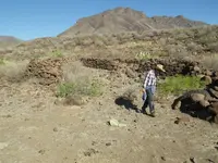 IMGP1943.webp