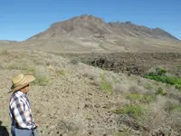 IMGP1940.webp
