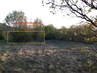 marked-spot-picture.webp