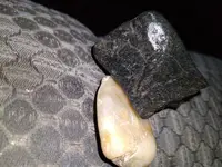 20220428_054453.webp