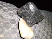 20220428_054442.webp