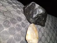 20220428_054503.webp