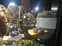 IMGP9404.webp