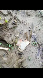 Screenshot_20220504-204359_Gallery_resized.webp