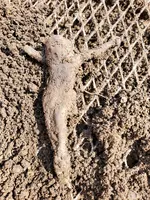 20220429_153838.webp