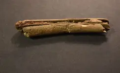 pocket knife b.webp