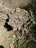 IMG_1338[1].webp
