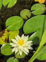 20220416_115819.webp