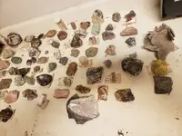 20220516_011204.webp