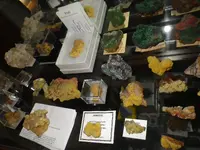 IMGP4884 (1).webp