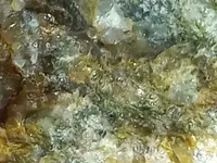 20220406_115519.webp