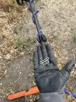 clip.webp