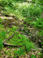 20220523_153408.webp