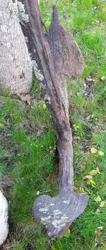 20220524_082127.webp