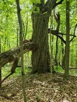 20220526_122544.webp