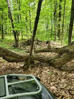 20220526_122548.webp