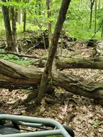 20220526_122556.webp