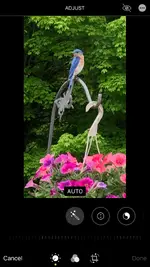53E12317-3308-4696-AA0C-011CB310AC20.webp