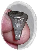 Before Restoration 004.webp