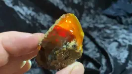 fire opal 5.webp