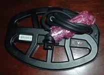DSCF0587.webp