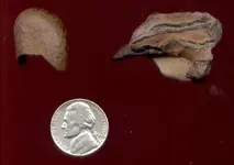 latestfindspottery726.webp