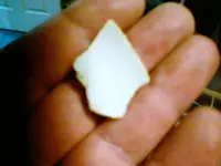 aug 11 white.webp