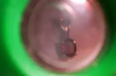 coin machine finds 925 ruby pendant.webp